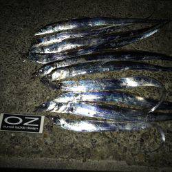 今日も調子に乗って!