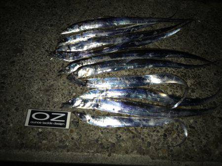 今日も調子に乗って！