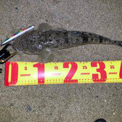 ナイトウェーディング