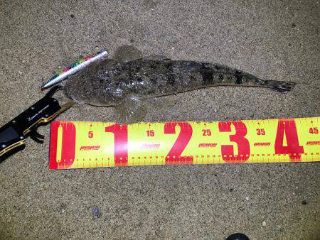 ナイトウェーディング