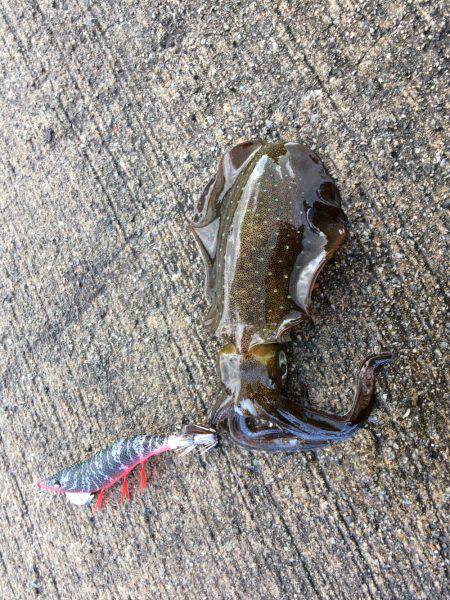 ほとんどアタリ無し