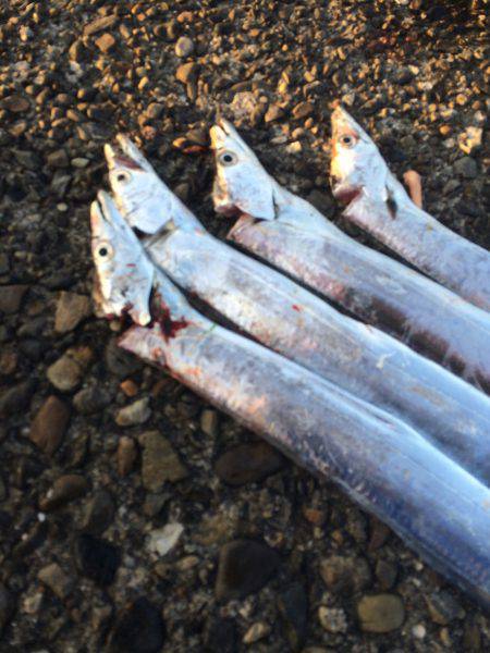 朝マズメ狙いで