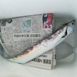 初太刀＆さごし