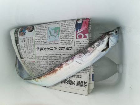 初太刀＆さごし