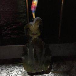 アオリをジックリ狙って