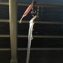 コスモスクエア