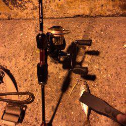 神戸周りアジング