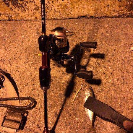 神戸周りアジング