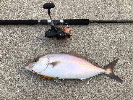 初青物ゲット！！