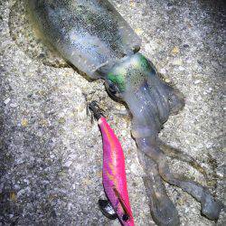 風が気になりましたが何とか…