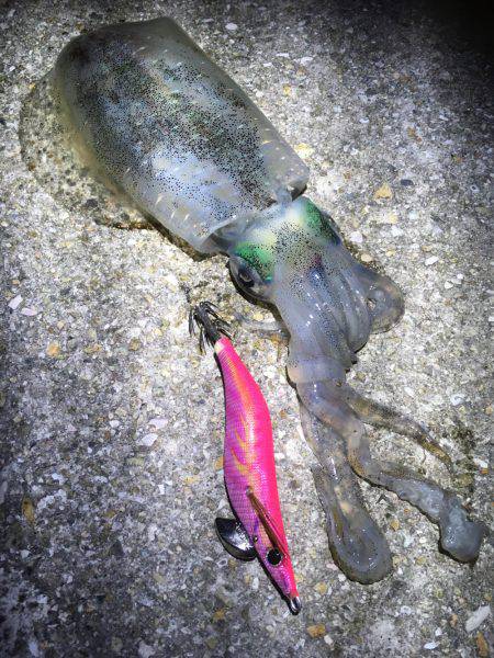 風が気になりましたが何とか…