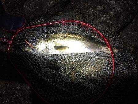 秋の釣りシーズン