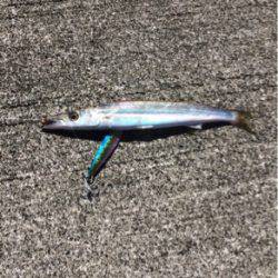 ライトショアジギング