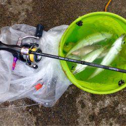 アジングレクチャー