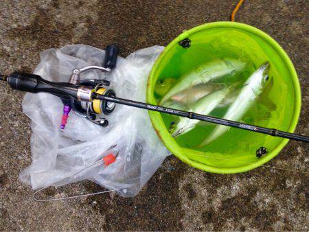 アジングレクチャー