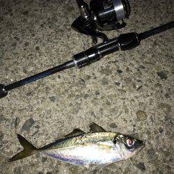 会社帰りに(oﾟ3ﾟb)b