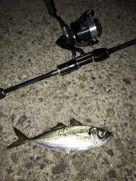 会社帰りに(oﾟ3ﾟb)b