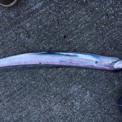 やっと釣れた(^^)