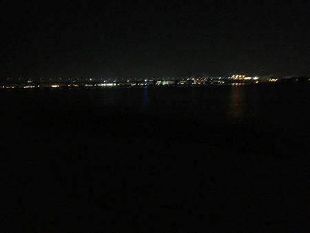 淀川シーバス 秋の気配