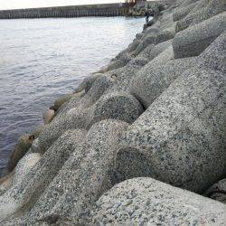 タチウオワインド調査