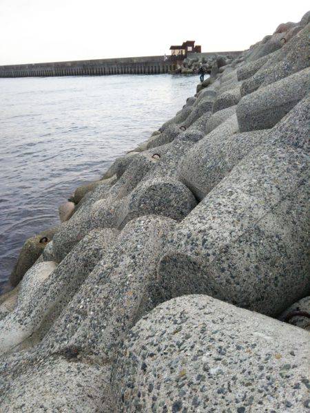 タチウオワインド調査