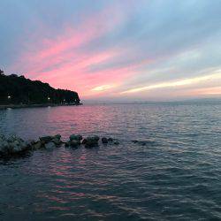 釣れるけどサイズがちっちゃい