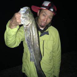 イカ調査釣行〜朝まずめ青物