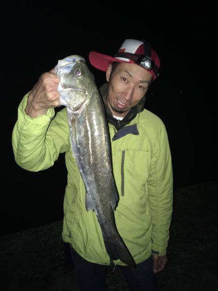 イカ調査釣行〜朝まずめ青物