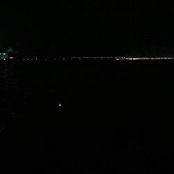 一年ぶりの食品コンビナート