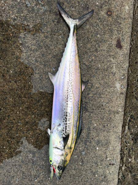 爆風＋小雨でしたが、、