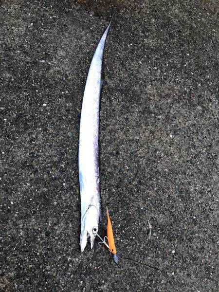 雨だったけど！