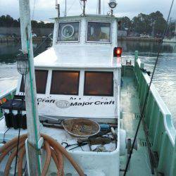 ティップラン開幕