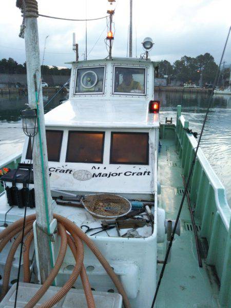 ティップラン開幕