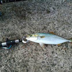 近畿縦断ランガン釣行！