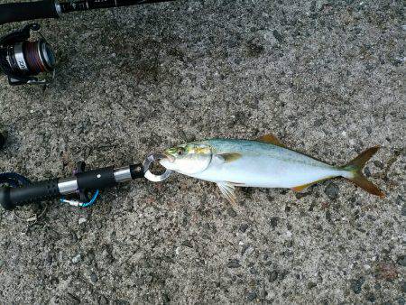 近畿縦断ランガン釣行！