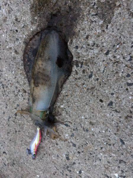 プレッシャー高い