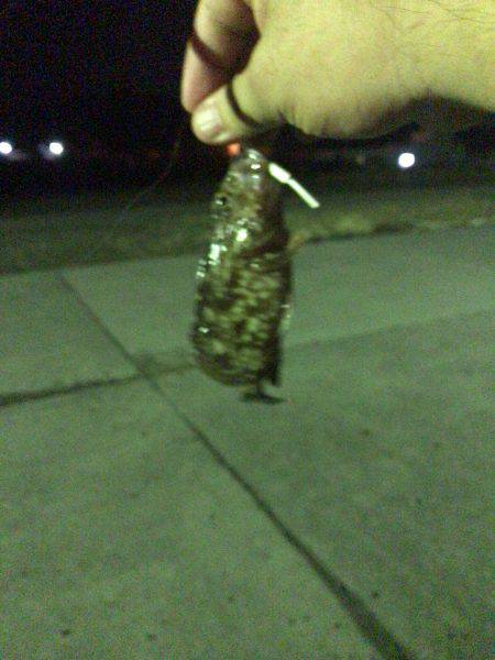 ゲキ渋、そしてバラし