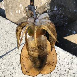 アオリと青色のん