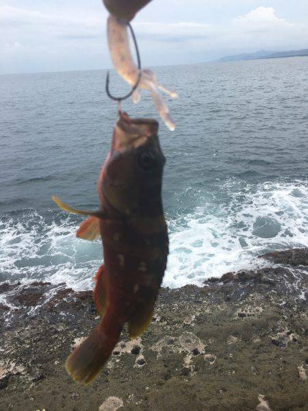 世界遺産鬼ヶ城にて