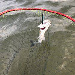 朝明川ウェーディングDAYゲーム