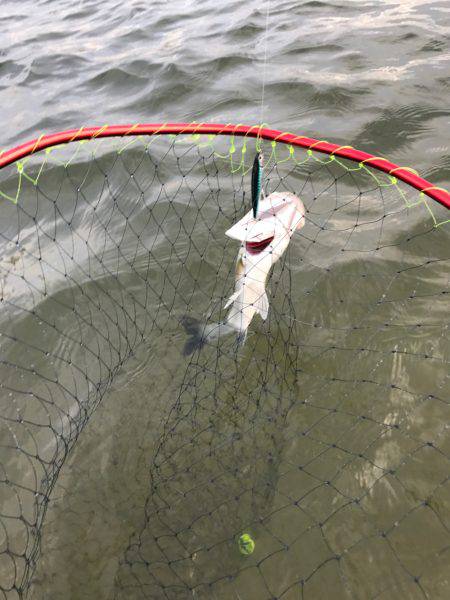 朝明川ウェーディングDAYゲーム