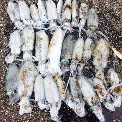 当たり日でした。