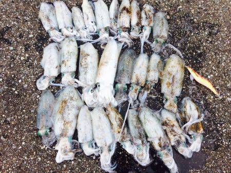 当たり日でした。