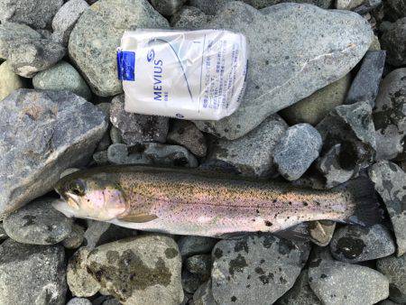 初めての河川管釣り
