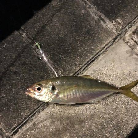 初めてワームでアジ