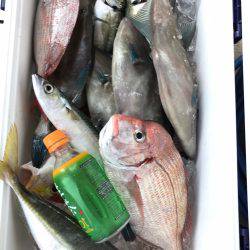 萩市 船五目釣り