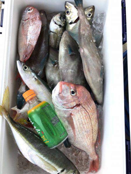 萩市 船五目釣り