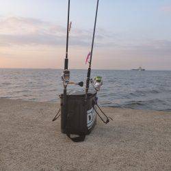 ポーアイ沖堤青物狙い