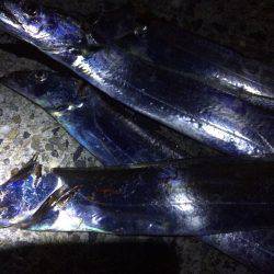 地合い逃しました