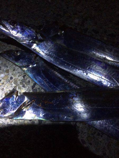 地合い逃しました